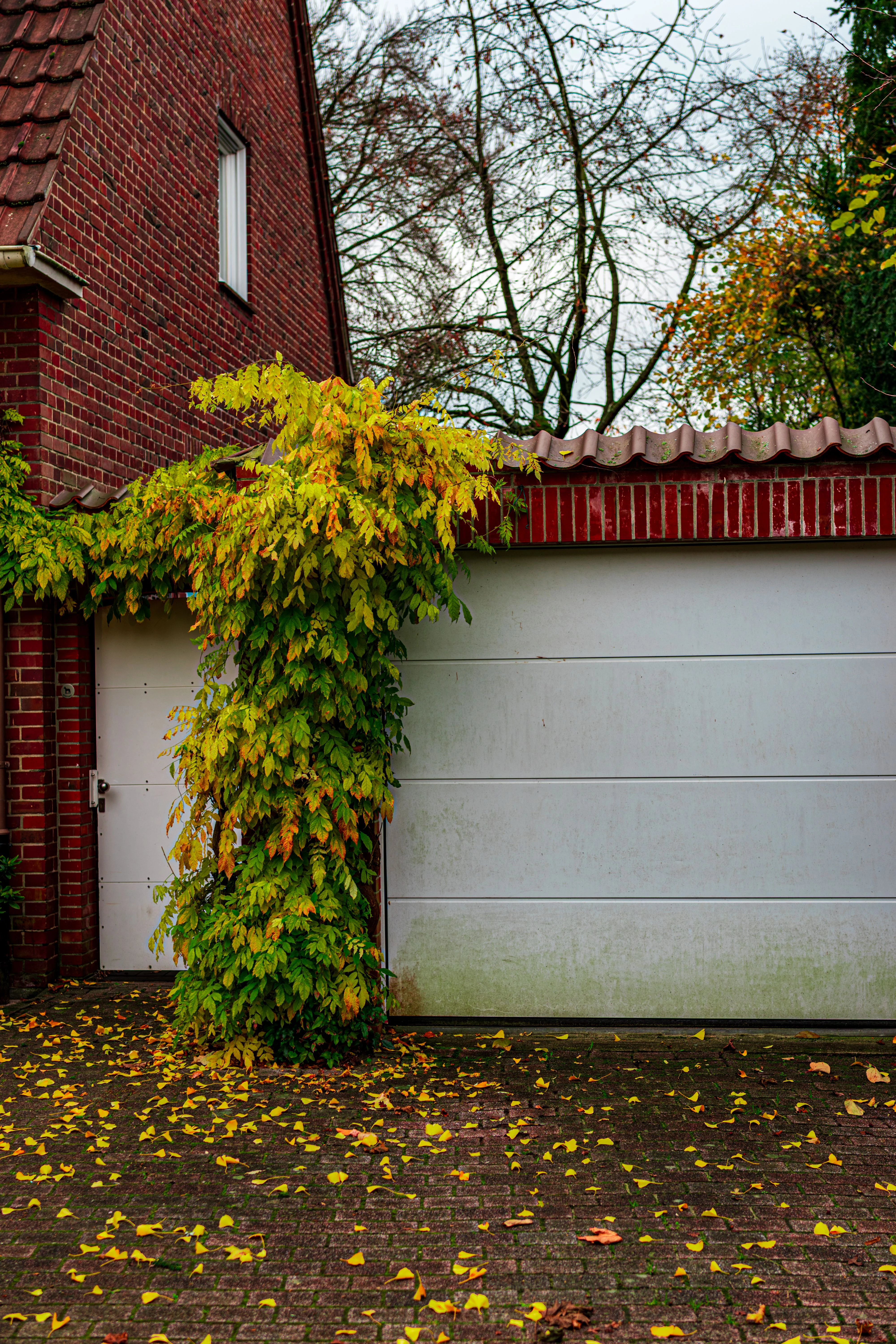 Residential garage door in Coppell
